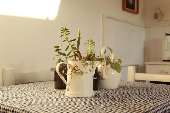 Alma De Proa Bed & Breakfast Сан Антонио де Ареко Екстериор снимка
